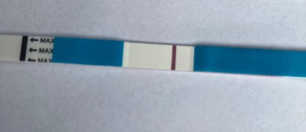 Bild zu Test evtl positiv? - Kinderwunsch - was tun, um schwanger zu werden?