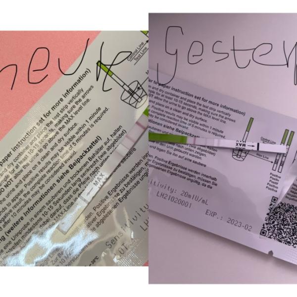 Bild zu Kann mir jemand helfen? - Kinderwunsch - was tun, um schwanger zu werden?