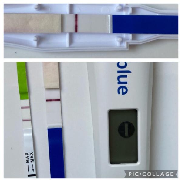 Bild zu Positiv und Negativ getestet - Kinderwunsch - was tun, um schwanger zu werden?