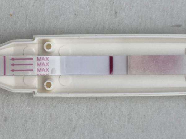 Bild zu Lifecare 10er vom Action… - Kinderwunsch - was tun, um schwanger zu werden?