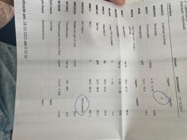 Bild zu Blutwerte aus dem Labor - Kinderwunsch - was tun, um schwanger zu werden?