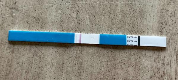 Bild zu Kann mir jemand helfen? SST PRESENSE - Kinderwunsch - was tun, um schwanger zu werden?