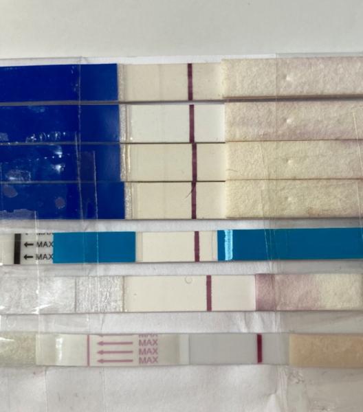 Bild zu Verzweifelt - Kinderwunsch - was tun, um schwanger zu werden?