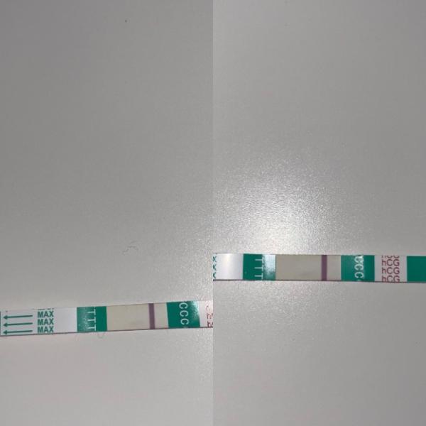 Bild zu Positiv oder negativ? - Kinderwunsch - was tun, um schwanger zu werden?