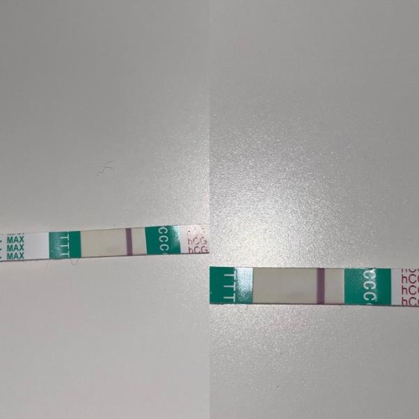 Bild zu Positiv oder negativ? - Kinderwunsch - was tun, um schwanger zu werden?