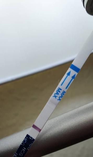 Bild zu Ist der Test positiv, was sagt ihr ? - Kinderwunsch - was tun, um schwanger zu werden?