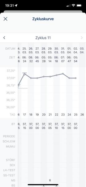 Bild zu Schwanger ? - Kinderwunsch - was tun, um schwanger zu werden?