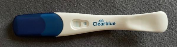 Bild zu Schwanger oder nicht ? - Kinderwunsch - was tun, um schwanger zu werden?