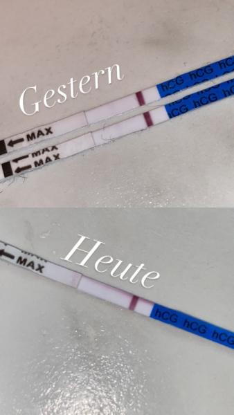 Bild zu Schwanger? - Kinderwunsch - was tun, um schwanger zu werden?