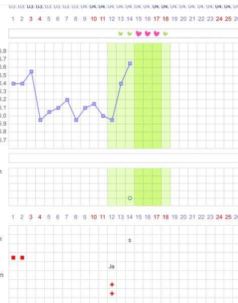 Bild zu Meinung ist gefragt über die Tempi - Kinderwunsch - was tun, um schwanger zu werden?