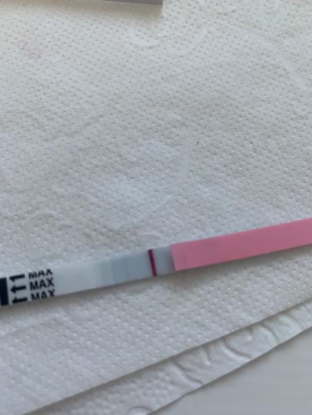 Bild zu Schwanger? - Kinderwunsch - was tun, um schwanger zu werden?