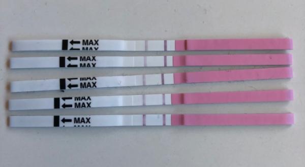Bild zu Ovulationstest positiv? - Kinderwunsch - was tun, um schwanger zu werden?