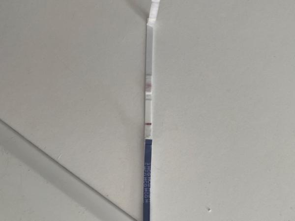 Bild zu Seht ihr was? - Kinderwunsch - was tun, um schwanger zu werden?