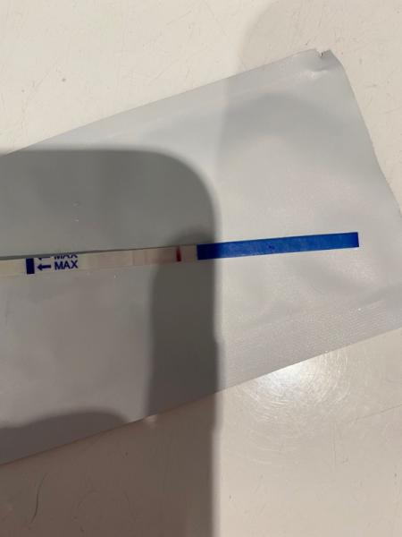 Bild zu Schwanger? - Kinderwunsch - was tun, um schwanger zu werden?