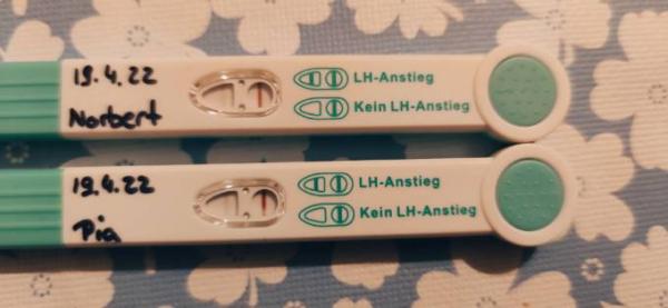 Bild zu Ovu Mann - Kinderwunsch - was tun, um schwanger zu werden?