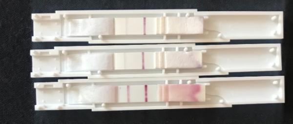 Bild zu ZT 7 Tempi gestiegen und LH steigt auch - Kinderwunsch - was tun, um schwanger zu werden?