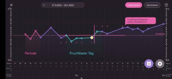 Bild zu Eure Meinungen, bitte? 🥺 - Kinderwunsch - was tun, um schwanger zu werden?