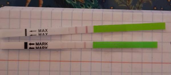 Bild zu Langer zyklus / ovulationstest - Kinderwunsch - was tun, um schwanger zu werden?