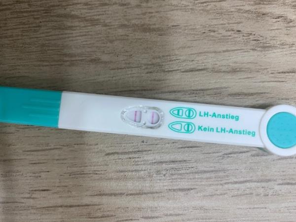 Bild zu Ovu zu früh positiv? - Kinderwunsch - was tun, um schwanger zu werden?