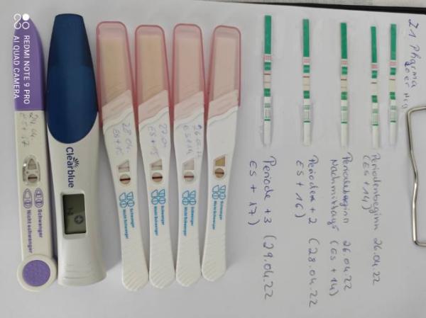 Bild zu Braune schmierblutungen - Kinderwunsch - was tun, um schwanger zu werden?