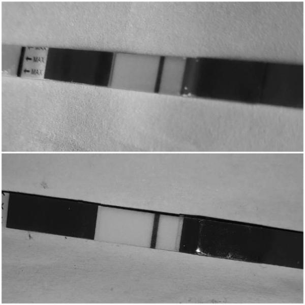 Bild zu Facelle Erfahrung? - Kinderwunsch - was tun, um schwanger zu werden?