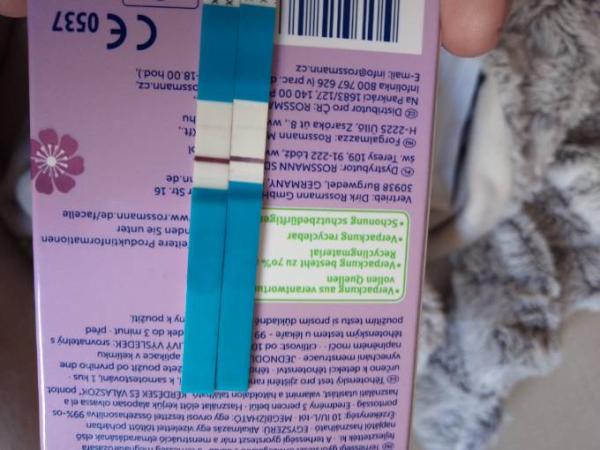 Bild zu Positive oder negativ 🤔🤔 - Kinderwunsch - was tun, um schwanger zu werden?