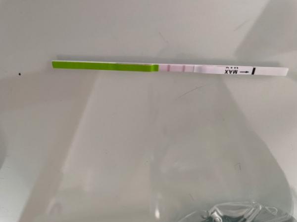 Bild zu Ist der pos? - Kinderwunsch - was tun, um schwanger zu werden?