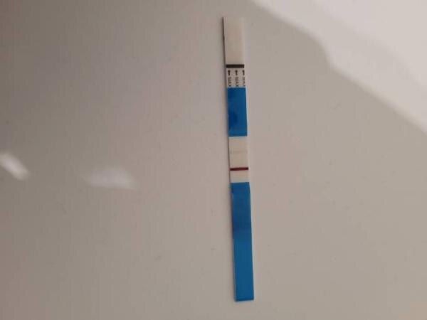 Bild zu Facelle Frühtest streifen Erfahrungen - Kinderwunsch - was tun, um schwanger zu werden?