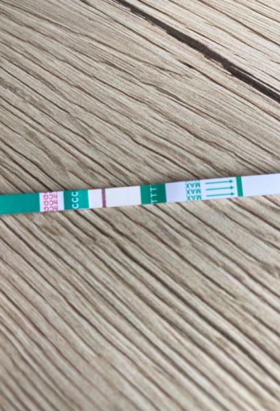 Bild zu Z1 Pharma Erfahrungen VL - Kinderwunsch - was tun, um schwanger zu werden?