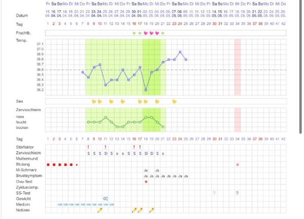 Bild zu Zykluskurve - Eisprung? - Kinderwunsch - was tun, um schwanger zu werden?