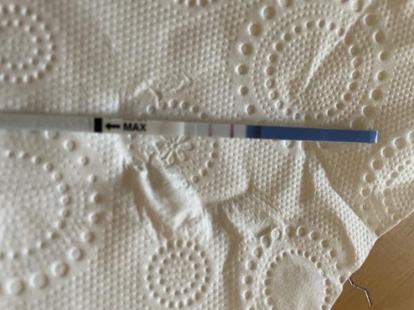 Bild zu Kennt sich jemand mit FSH aus? - Kinderwunsch - was tun, um schwanger zu werden?