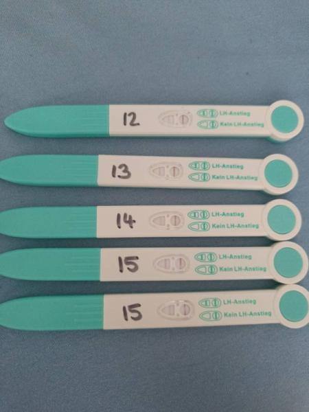 Bild zu Ovu - Test positiv? - Kinderwunsch - was tun, um schwanger zu werden?