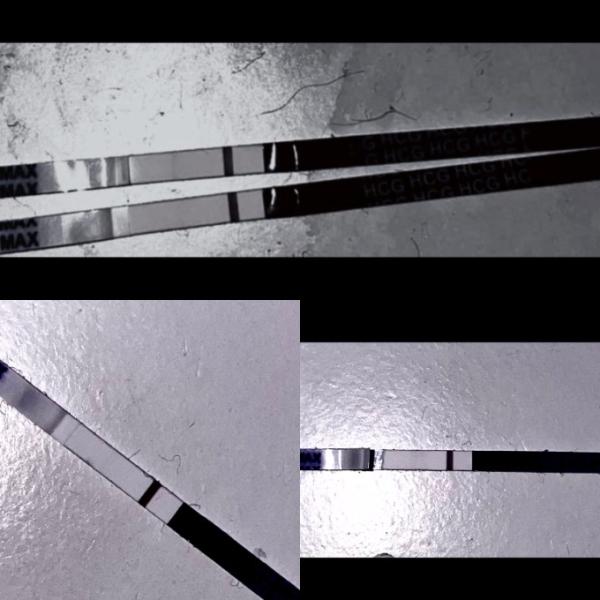 Bild zu Schwanger oder nicht? - Kinderwunsch - was tun, um schwanger zu werden?