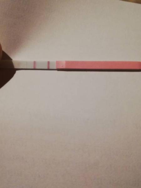 Bild zu Eisprung so eintragen? - Kinderwunsch - was tun, um schwanger zu werden?