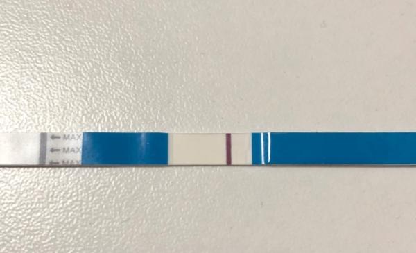 Bild zu VL? - Kinderwunsch - was tun, um schwanger zu werden?