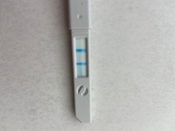 Bild zu Frage zum Eisprung - Kinderwunsch - was tun, um schwanger zu werden?