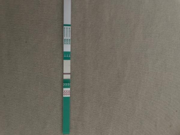 Bild zu Hilfe! - Kinderwunsch - was tun, um schwanger zu werden?