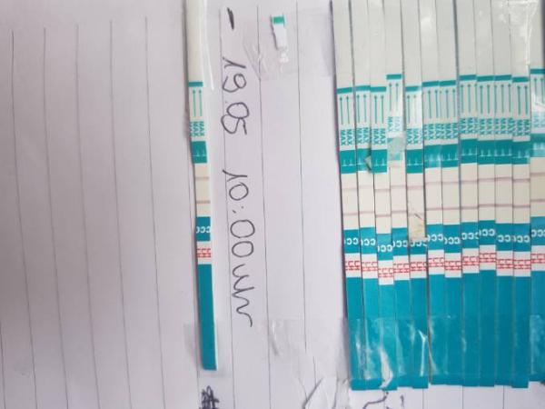 Bild zu Ovu Ganze Zeit positiv - Kinderwunsch - was tun, um schwanger zu werden?