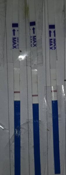 Bild zu was meint ihr schwanger ? - Kinderwunsch - was tun, um schwanger zu werden?