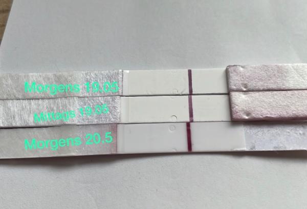 Bild zu Hilfe negativ oder positiv - Kinderwunsch - was tun, um schwanger zu werden?