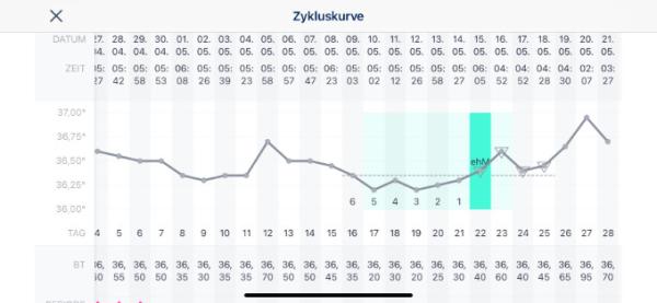 Bild zu ES - ja oder nein? - Kinderwunsch - was tun, um schwanger zu werden?