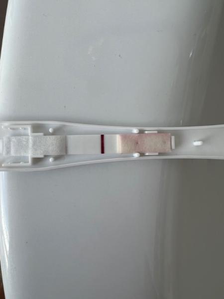 Bild zu Positiv? Negativ? - Kinderwunsch - was tun, um schwanger zu werden?