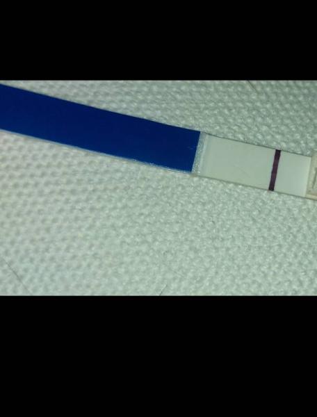 Bild zu Langsam nervt es.. - Kinderwunsch - was tun, um schwanger zu werden?