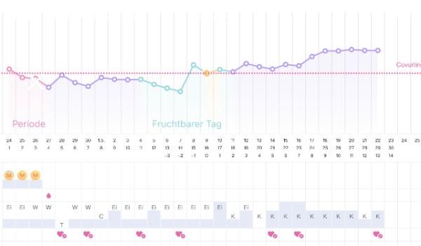 Bild zu BT Kurve lesen - Kinderwunsch - was tun, um schwanger zu werden?