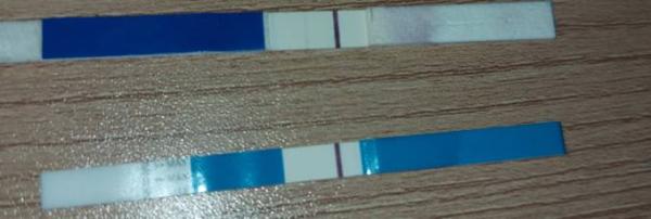 Bild zu Positiv oder doch nicht ? - Kinderwunsch - was tun, um schwanger zu werden?