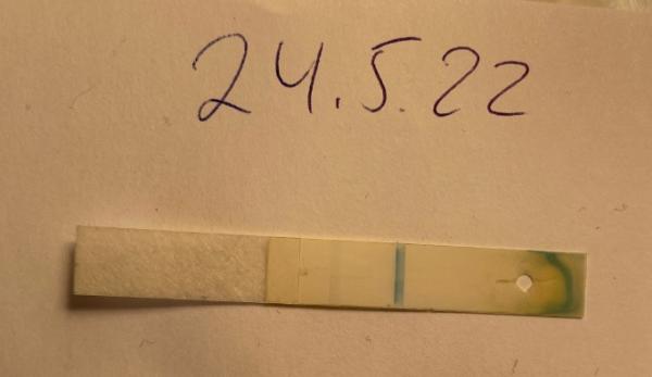 Bild zu Schwanger oder nicht? - Kinderwunsch - was tun, um schwanger zu werden?