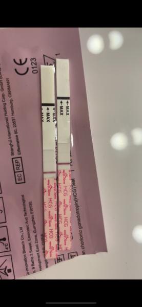 Bild zu SS-Test positiv ? - Kinderwunsch - was tun, um schwanger zu werden?