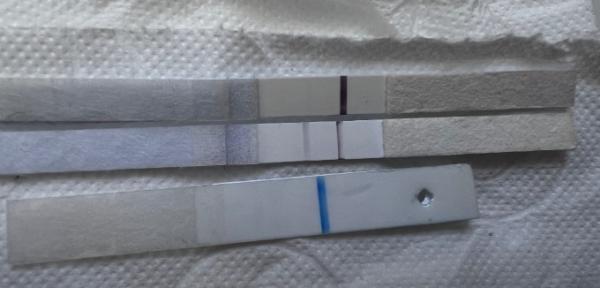 Bild zu Verwirrung pur - Kinderwunsch - was tun, um schwanger zu werden?