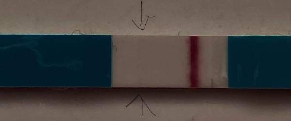 Bild zu Neigt Facelle zu VL? - Kinderwunsch - was tun, um schwanger zu werden?