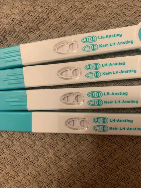 Bild zu Wann mit Progesteron beginnen? - Kinderwunsch - was tun, um schwanger zu werden?